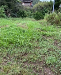 宇部市大字東岐波